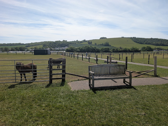 Doniford Farm Park