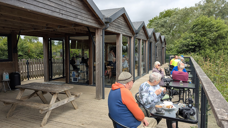 Dragonfly Cafe