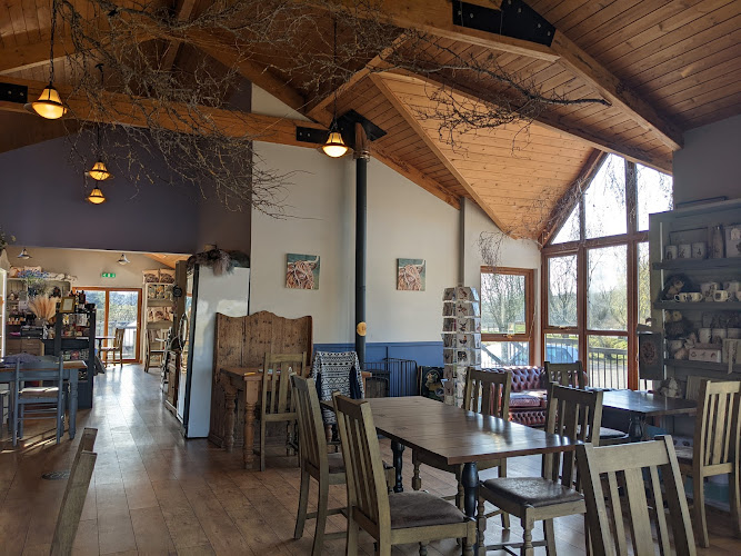DRAGONFLY TEA ROOMS AND FISHERY LTD
