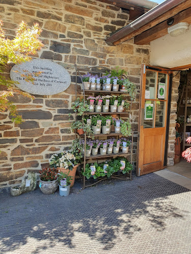 Duchy of Cornwall Nursery — Lostwithiel
