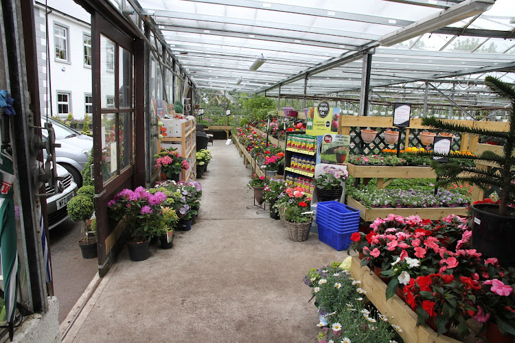 Dundonald Nurseries — Belfast