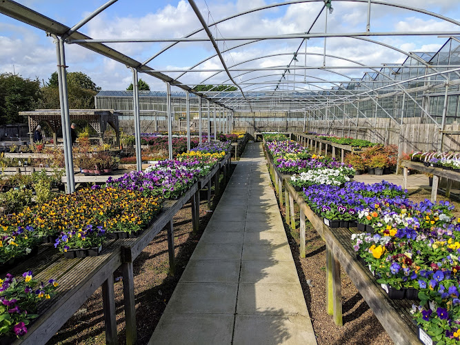 Earsdon Plants Centre — Whitley Bay