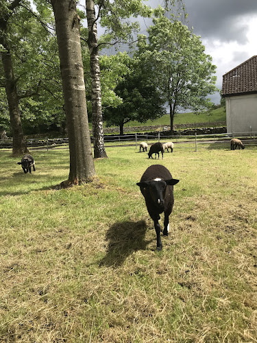 Easterton Farm Park