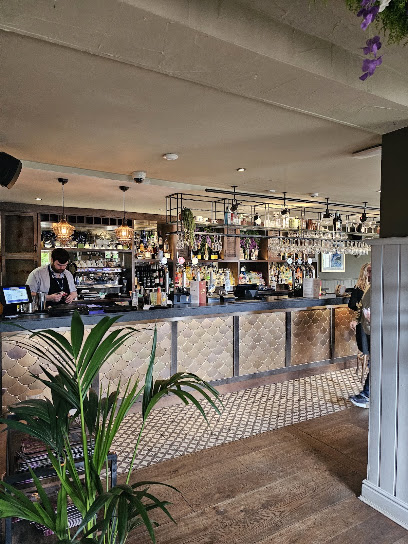 Ego at The Forest, Lickey End, Bromsgrove
