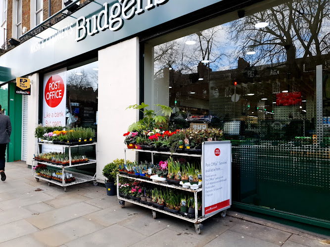 Falafel Highbury