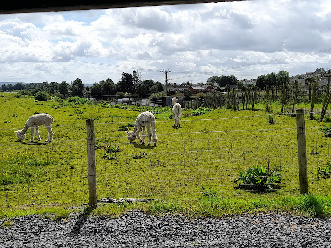 Fermanagh Fun Farm