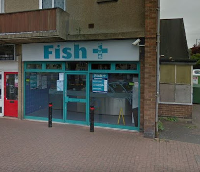 Fish Plus