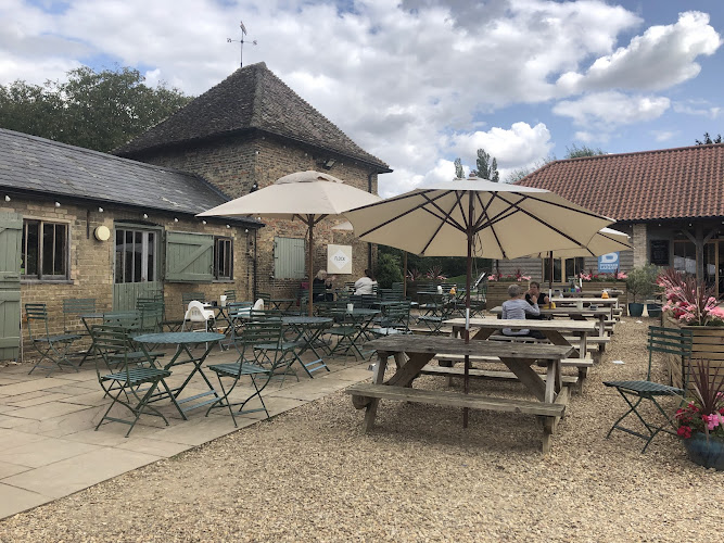 Flock Cafe — Cambridge
