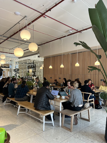 Flying Horse Coffee - White City