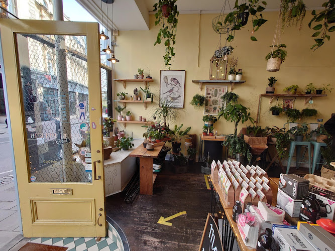 Foliage Cafe