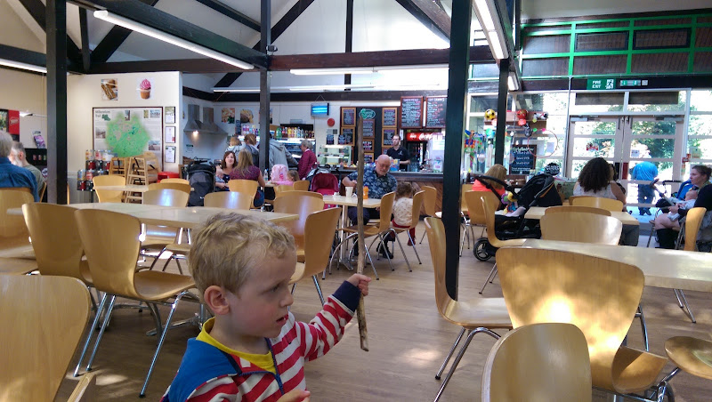 Forest Cafe — Swindon