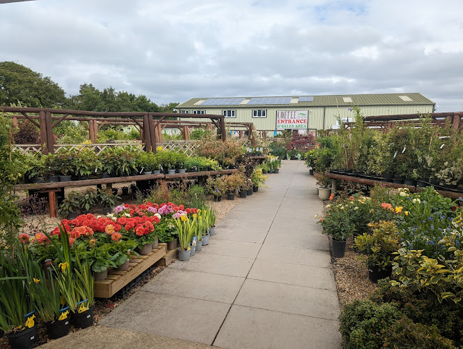Foundry Plant centre
