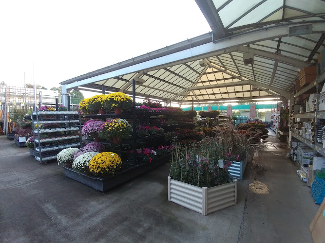Garden Centre by Homebase (inside The Range) - Sheffield Woodside Park — Sheffield