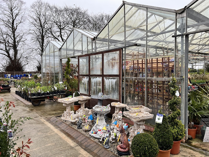 Glapwell Nurseries — Chesterfield