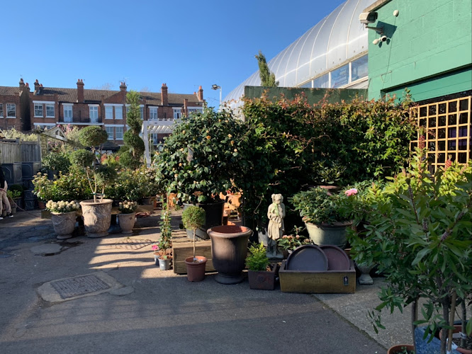Glasshouse Coffee, Fulham — London