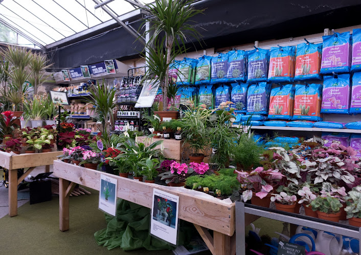 Golden Days Garden Centre