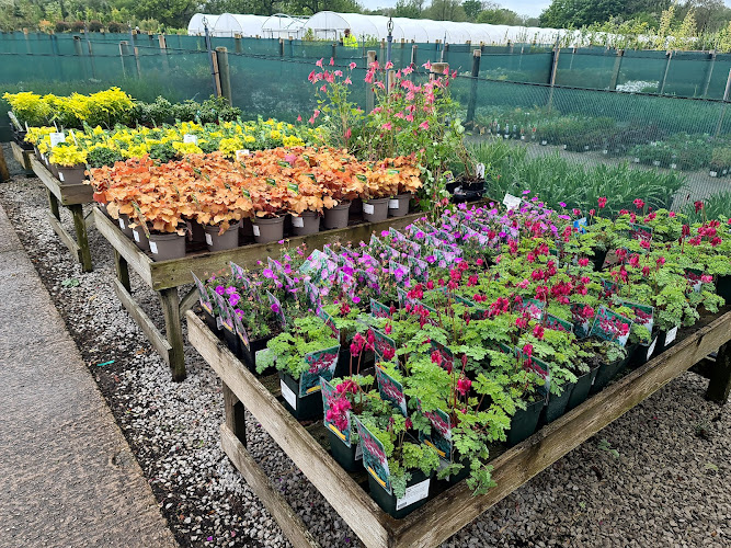 Grasslands Nursery