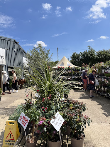 Green Lane Nursery