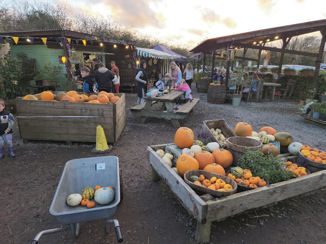 Greenacre Market Garden