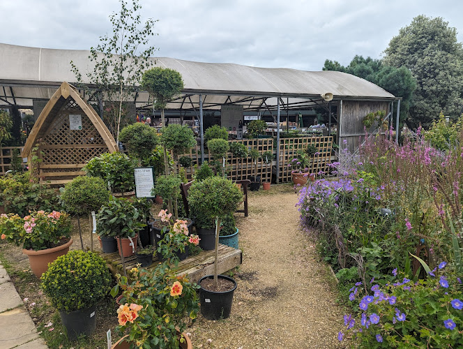Groves Nurseries