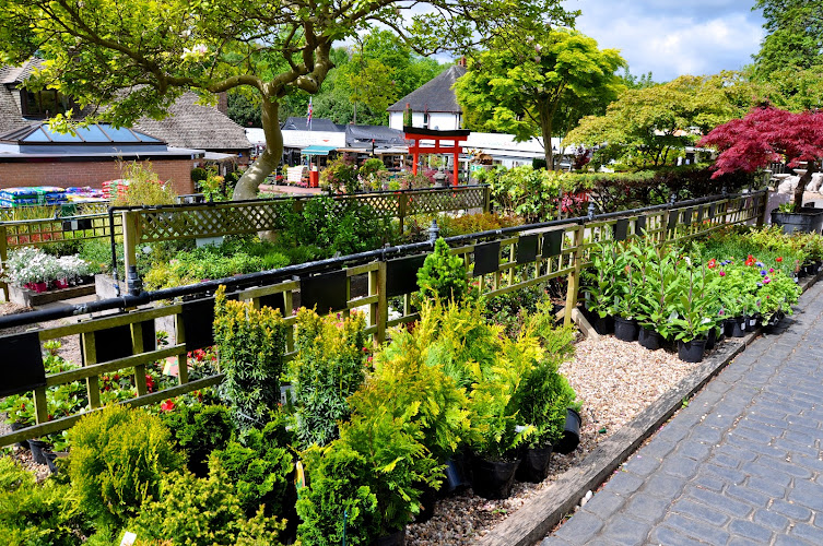 Hall's Garden Centre — Sutton Coldfield
