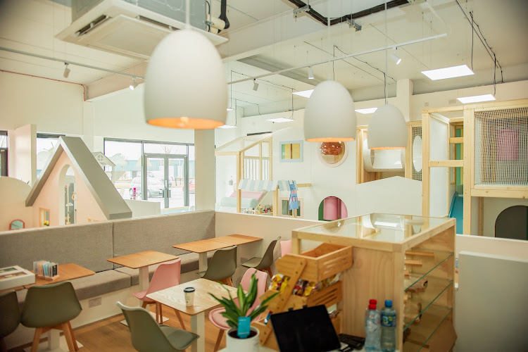 Happy Littles Play Cafe — Newtownabbey