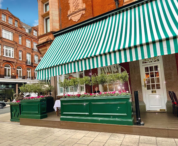 Harry's Marylebone
