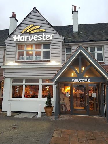 Harvester Greyhound Romford — Romford