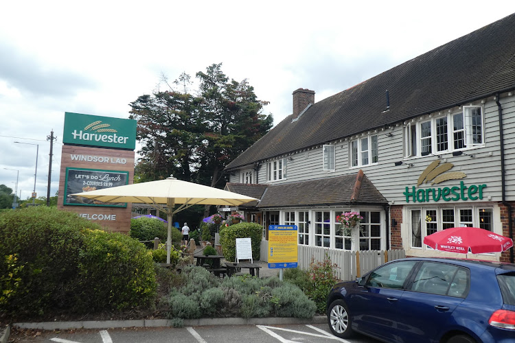 Harvester Windsor Lad Windsor — Windsor