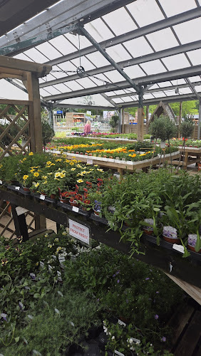 Haslemere Garden Centre — Godalming