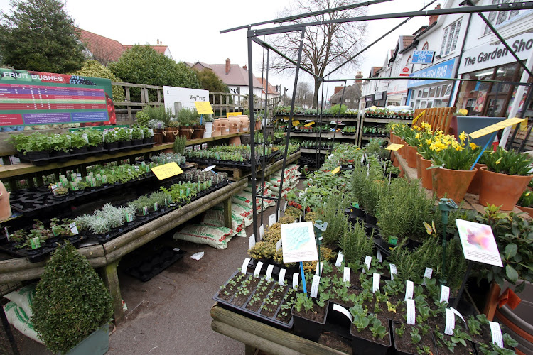Henleaze Garden Shop