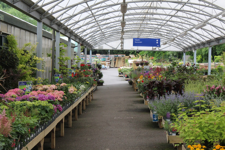Hillier Garden Centre Dorking — Dorking