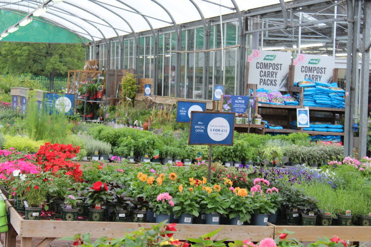 Hillier Garden Centre Liss