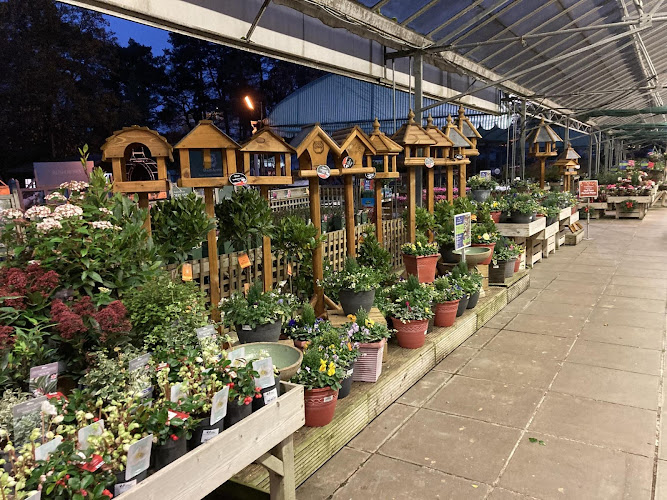 Hillier Garden Centre Sunningdale — Windlesham