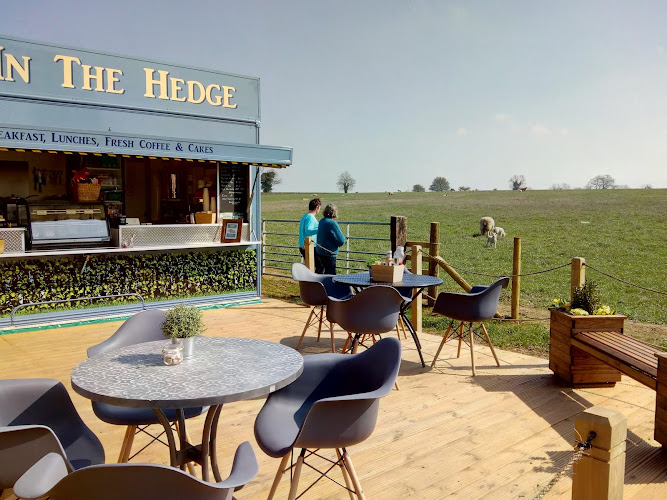 Hole In The Hedge