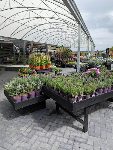 homegrown Garden Centre — Glasgow