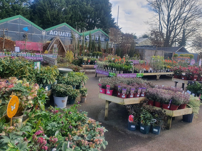 Iron Acton Garden Centre — Bristol