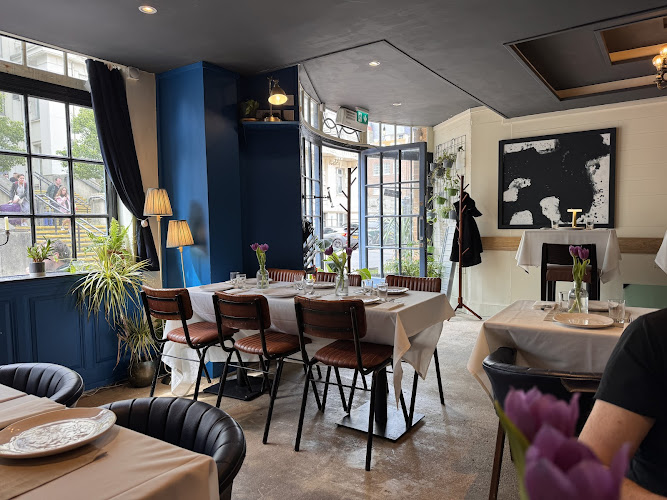 Istanbull Katz — Brighton