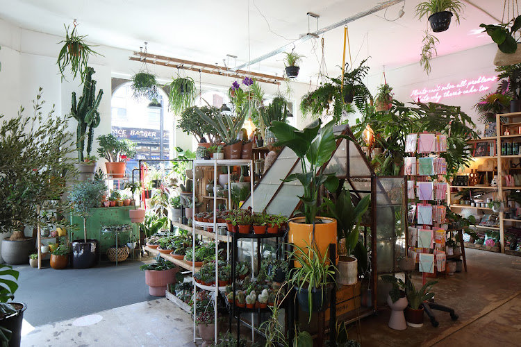 Ivy and the Wolf – Plants, Coffee & Nice Things — London