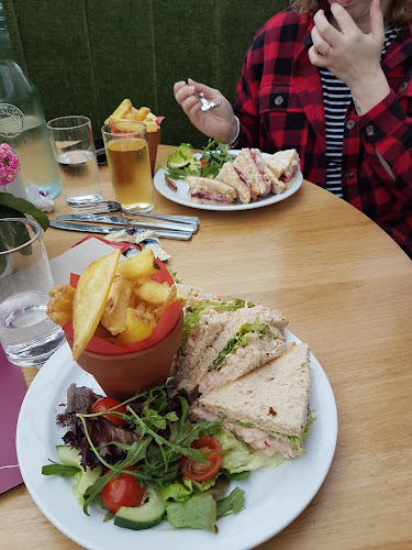 Ivy House Kitchen at Groves Nurseries — Bridport