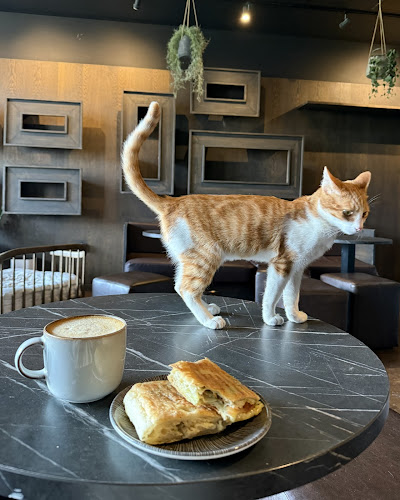 Java Whiskers Cat Café White City