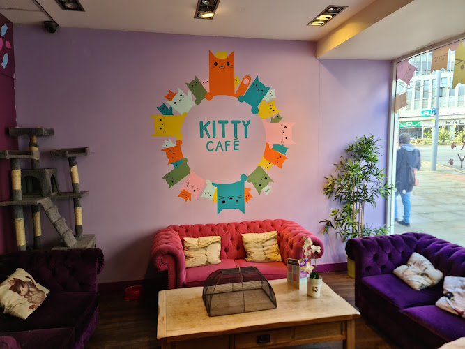 Kitty Café