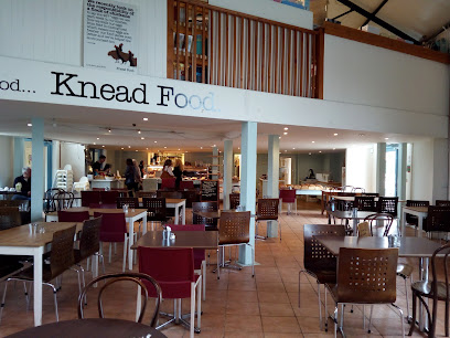 Knead Food
