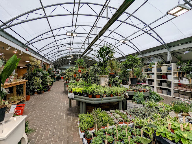 Knights Garden Centres - Betchworth
