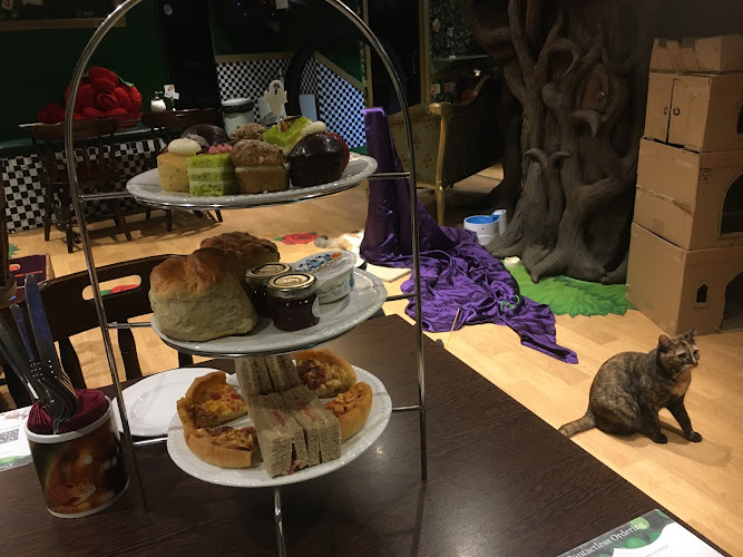 Lady Dinah's Cat Emporium — London