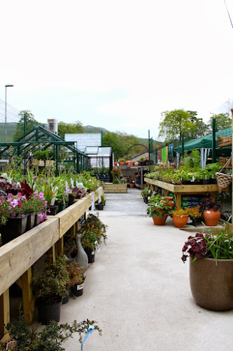 Lay of the Land - Garden Centre