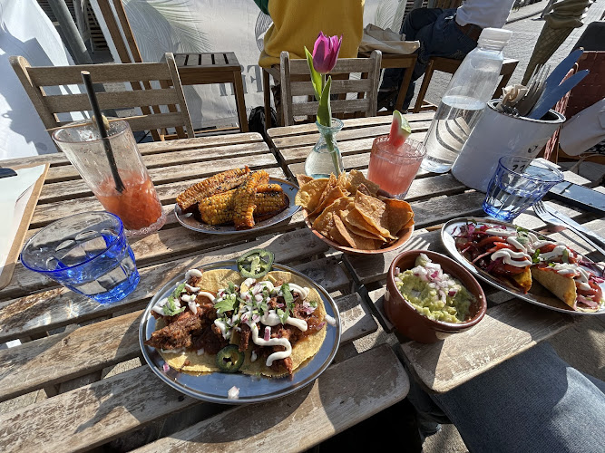 Lazy Fin — Brighton