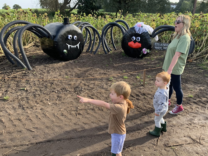 Lichfield Maize Maze — Lichfield