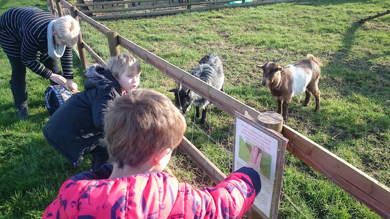 Little Jack's Farm & Garden Centre