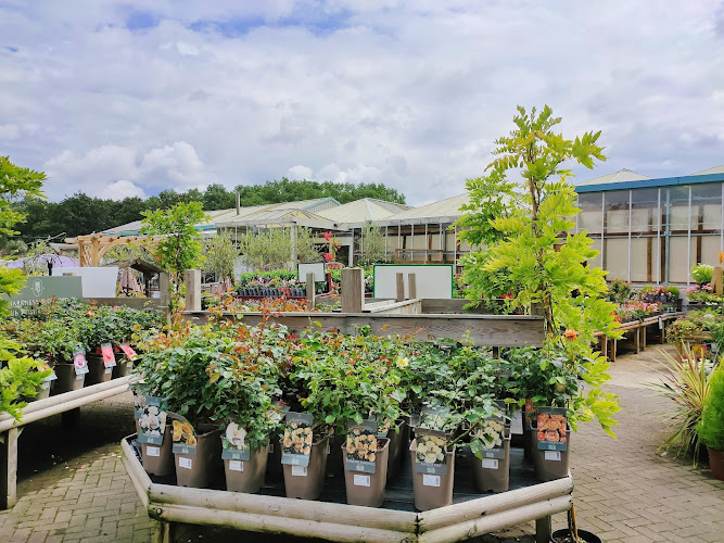 Longacres Bourne Valley Garden Centre — Addlestone